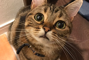 プライベートのしっかり充実